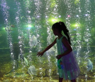 Aquarium Tour 17