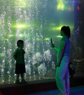 Aquarium Tour 19