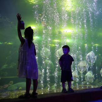 Aquarium Tour 20