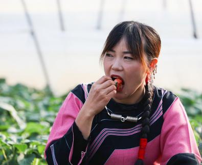 Strawberry Base 21