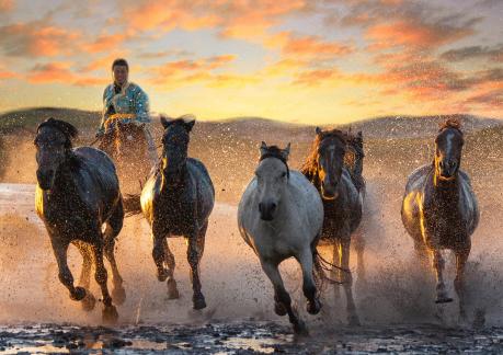 Mongolia rider 2.