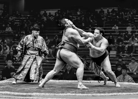 Sumo Wrestling 8