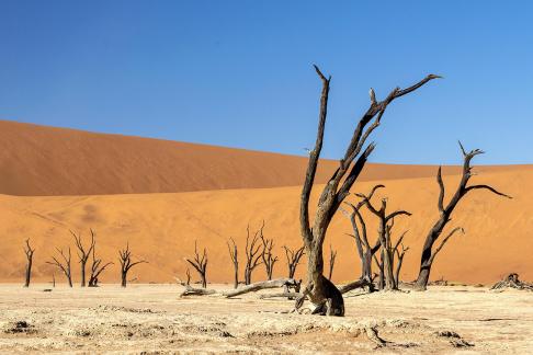 Deadvlei of Namibia