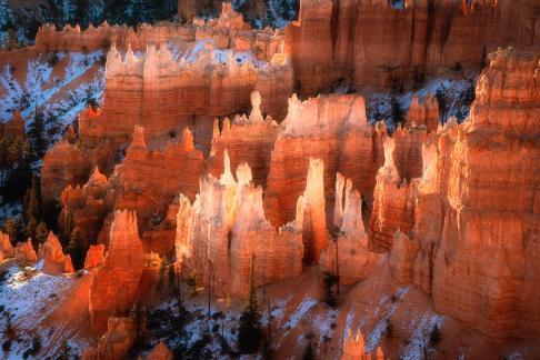 First Light at Bryce Canyon