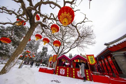 Spring Festival Beijing Jingshan 2