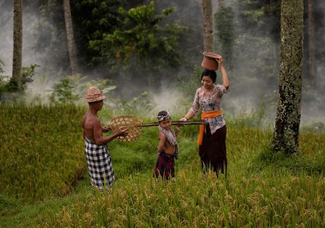 Bali Farmeres 2