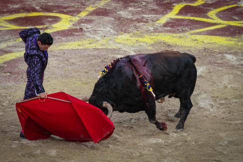 Feria du Riz 25