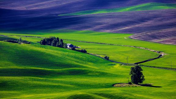 Palouse 11