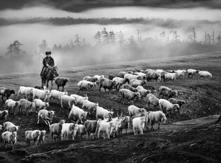 Man riding a horse