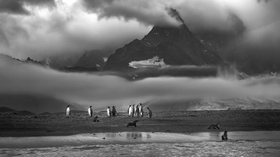 Antarctic Impressions