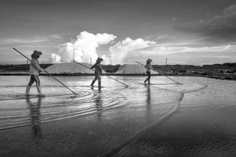 Salt manufacturing3