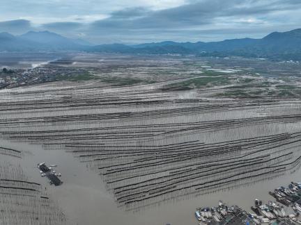 The intertidal zone