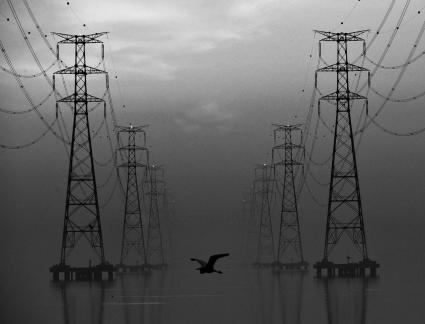 a morning on a pylon 01