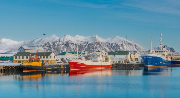 Fishing Harbour In Iceland 102