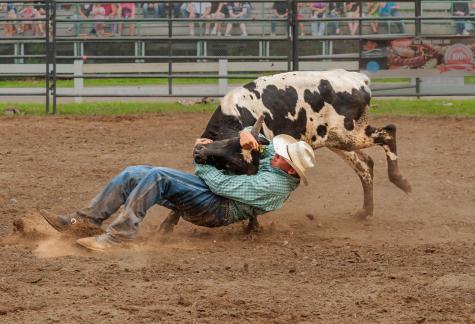 Bull Riding 104