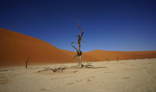 Deadvlei_14