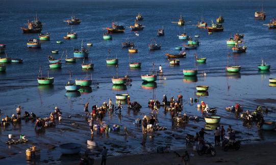 A busy fishing port