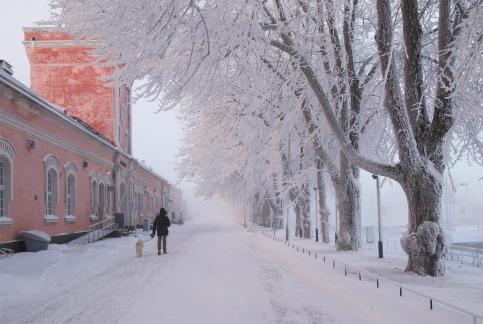 Walking in winter day