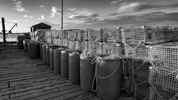 Lobster Traps Ready For Tomorrown