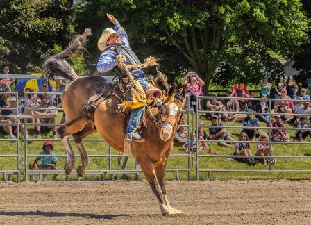 Saddle bronc riding 48