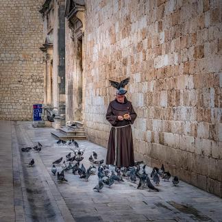 Pigeon on head