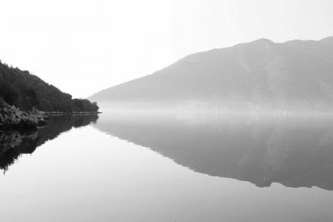Fog 1