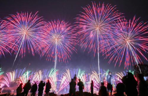 Fireworks bloom in full bloom 11