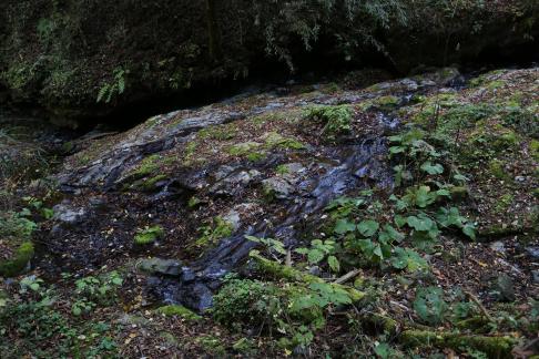 Small stream flow 2
