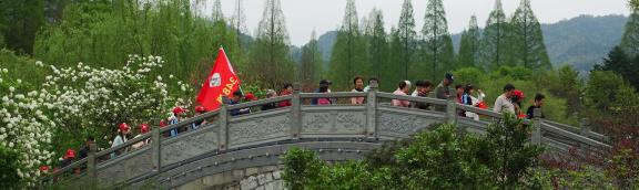 study tour 9