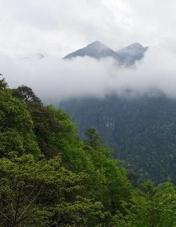 Yunshan Foggy Sea 6