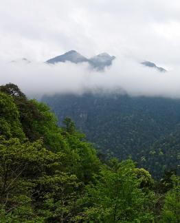Yunshan Foggy Sea 8