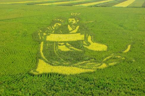 paintings in the field