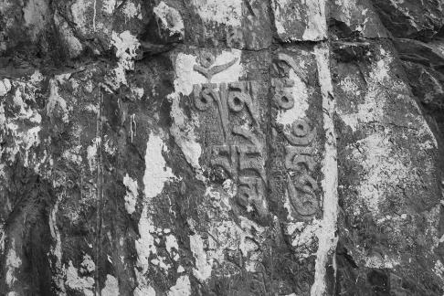 Take a photo in Xizang 20