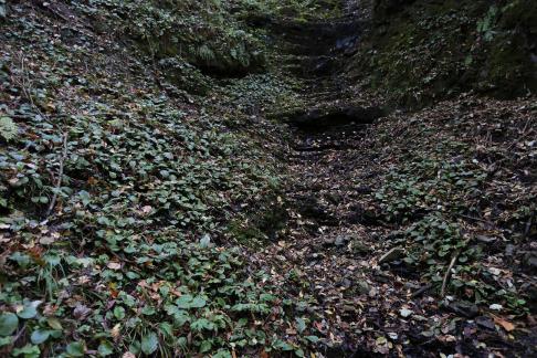 In the mountains and forests 7