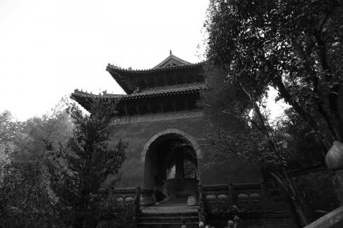 Journey to the Mountains 92