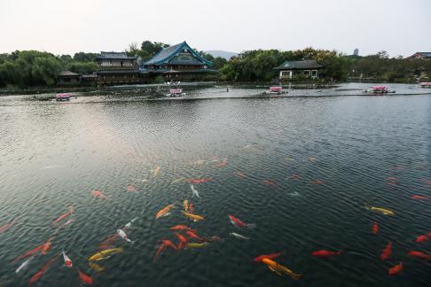 Visit the ancient city 85