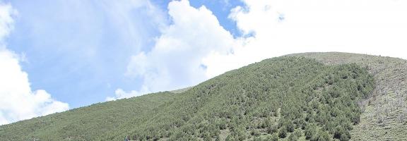 Yuanpo Flowing Clouds 16