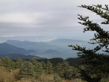 Kongshan New Color 1