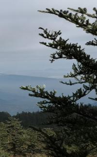 Kongshan New Color 2