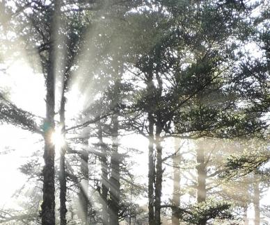 Kongshan New Color 3