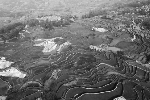 Terraced fields scenery 13