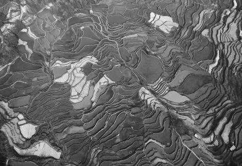 Terraced fields scenery 15