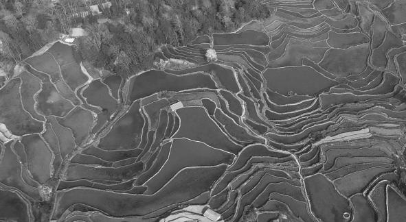 Terraced fields scenery 16