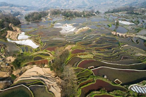 Terraced fields scenery 2