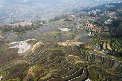 Terraced fields scenery 6