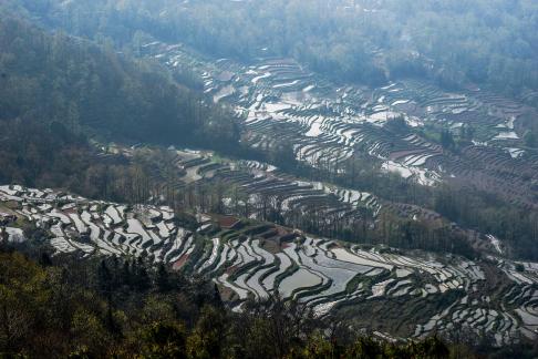 Terraced Fields Holy Scenery 3