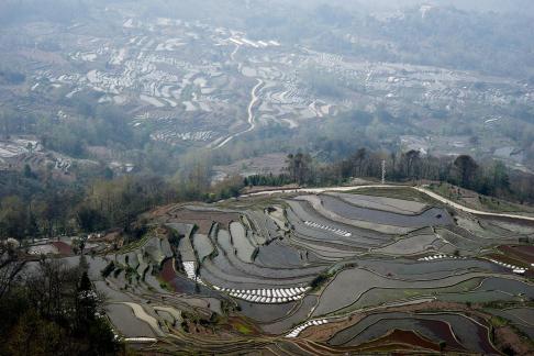 Terraced Fields Holy Scenery 4