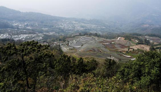Terraced Fields Holy Scenery 1
