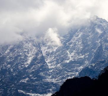 stand majestically 1