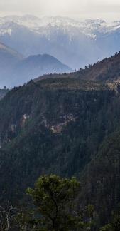 stand majestically 3